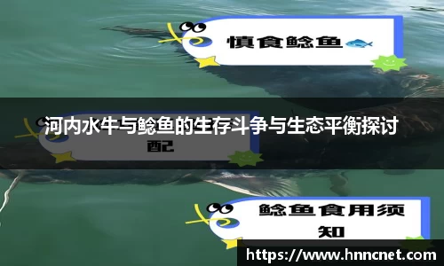 河内水牛与鲶鱼的生存斗争与生态平衡探讨